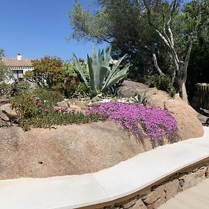 L'olivastro Porto Cervo